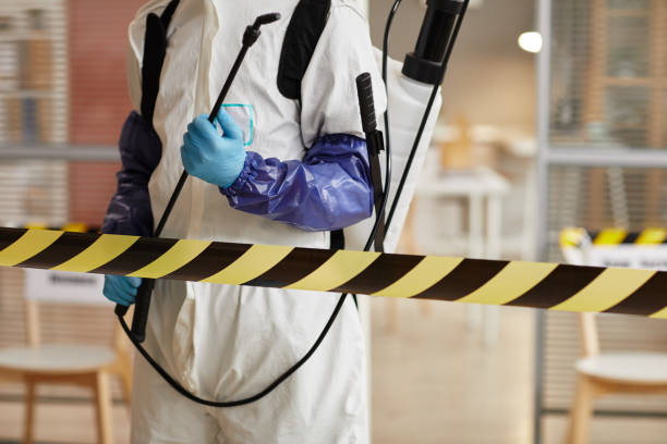 Professional Infectious Disease Decontamination technician working in Nuevo, CA