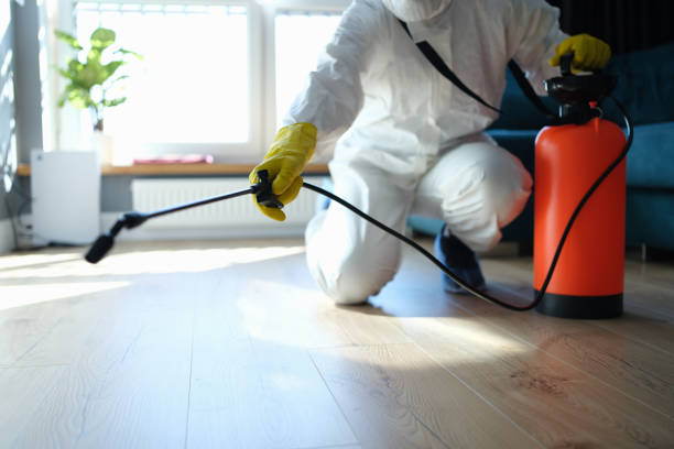 Reliable Infectious Disease Decontamination contractor in Nuevo, CA by Crime Scene Cleaner Online